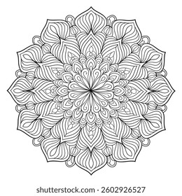 Beautiful mandala  design  circle shape