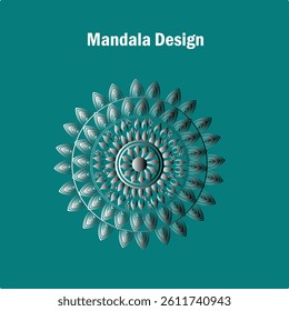 beautiful mandala design vector with background