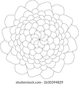 beautiful mandala design in vector eps 10 