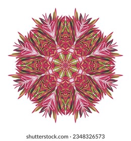 Beautiful mandala ornament design with geometric circle element made in vector
Realistic Luxury mandala background beautiful mandala design illustration
