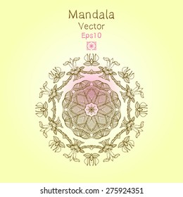 Beautiful mandala - Tribal ornament - vector illustration