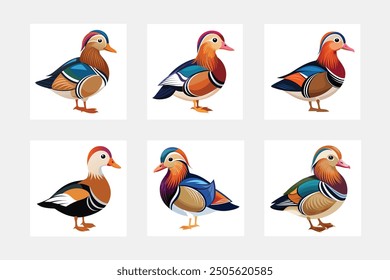 Una hermosa ilustración de Arte vectorial de pato mandarín