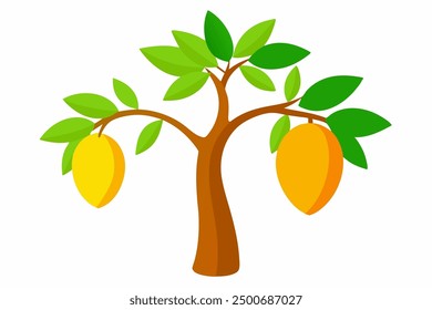A beautiful mango tree vector art in white background illustration.