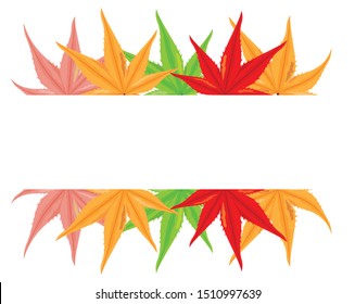 beautiful maple leaves background vector design