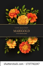 Beautiful marigolds flowers on a black background. Floral poster template