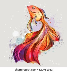 Beautiful marine fish. Goldfish. Valuehost red-orange.Watercolor vector.