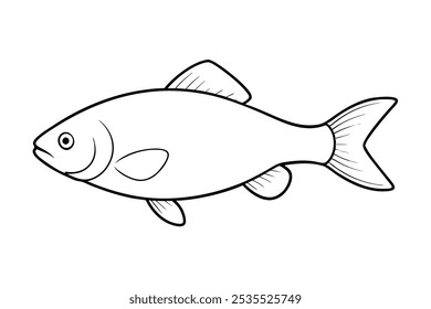 A beautiful marine fish vector art in white background illustration.