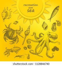 Beautiful marine set on yellow background. Marine residents. Vector