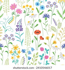Beautiful meadow flowers pattern. Wild ornamental plants, summer blooming herbs, repeated botanical elements, vector seamless background.eps
