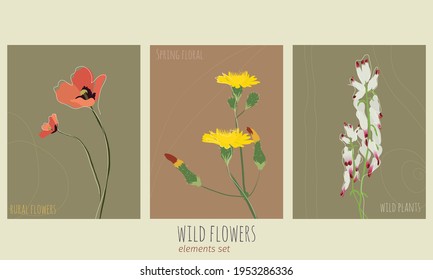 Beautiful Mediterranean wild flowers. Poppies, daisies, dandelion and cluster flowers hand drawn in flat style and muted colors like red, white, pink and yellow suitable for postcards, prints and more
