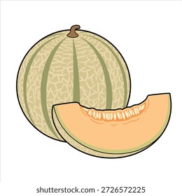 Un hermoso diseño de frutas de Ilustración vectorial de melón