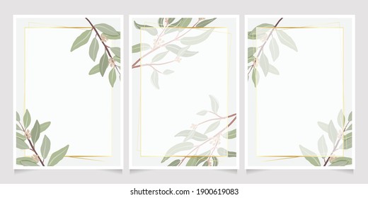beautiful minimal seeded eucalyptus leaves with golden frame background for birthday or wedding invitation card template collection