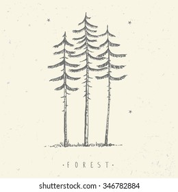 Beautiful minimalist background of amazing tall pines. Hand drawn sketch. Stylish vector illustration