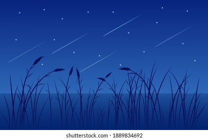 Ciel Etoile Filante Images Stock Photos Vectors Shutterstock