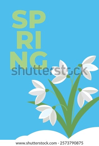 Beautiful minimalistic poster with blooming white snowdrops in the snow. Spring floral background. Postcard, cover, banner, flyer