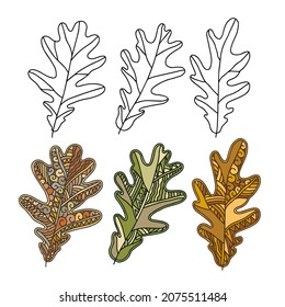 Beautiful minimalistic set of isolated autumn leaves. Oak leaves in orange, beige and brown color