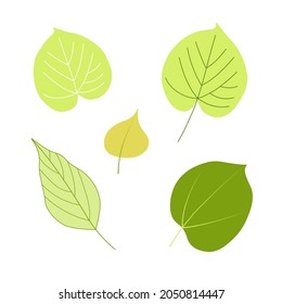 Beautiful minimalistic set of isolated bright autumn leaves. Linden and birch leaves in green and yellow color 