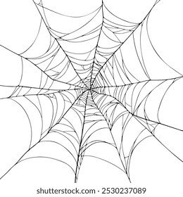 Beautiful Minimalistic Spiderweb Vector illustration for Halloween Design element, Horror projects, or Autumn Decoration