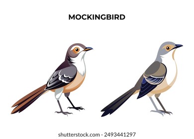 Beautiful Mockingbird on white background vector illustration