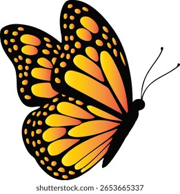 Lindos monarca borboleta voando ilustração