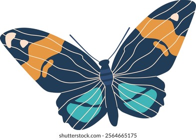 Beautiful monarch butterfly vector illustration