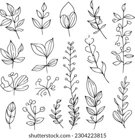 Beautiful monochrome black   white botanical elements are isolated white  Hand  drawn leaf set and  botanical vector art  minimalist leaf drawing  simple botanical outline  wildflower sketch art 