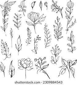 Beautiful monochrome black   white botanical elements are isolated white  Hand  drawn leaf set and  botanical vector art  minimalist leaf drawing  simple botanical outline  wildflower sketch art 