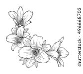 beautiful monochrome black and white bouquet lily isolated on background. Hand-drawn. design greeting card and invitation of the wedding, birthday, Valentine's Day, mother's day and other holiday