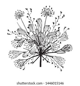 Beautiful monochrome black and white bouquet isolated on background. Hand-drawn flowers. Design greeting card and invitation of holiday. Line art vector illustration.