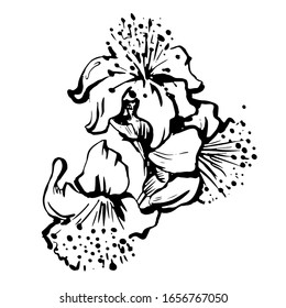 Beautiful monochrome black and white bouquet lily isolated on background. Hand-drawn. design greeting card and invitation of the wedding, birthday, Valentine's Day, mother's day and other holiday