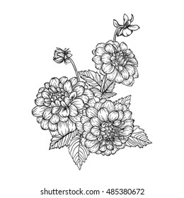 beautiful monochrome black and white bouquet dahlia isolated on background. Hand-drawn. design greeting card and invitation of the wedding, birthday, Valentine's Day, mother's day and other holiday