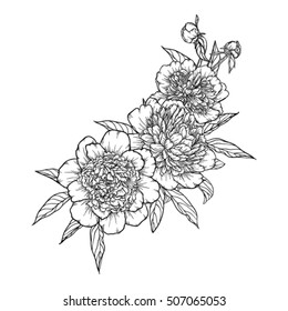 beautiful monochrome black and white bouquet peony isolated on background. Hand-drawn. design greeting card and invitation of the wedding, birthday, Valentine's Day, mother's day and other holiday