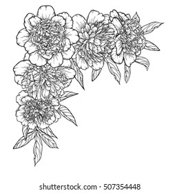 beautiful monochrome black and white bouquet peony isolated on background. Hand-drawn. design greeting card and invitation of the wedding, birthday, Valentine's Day, mother's day and other holiday