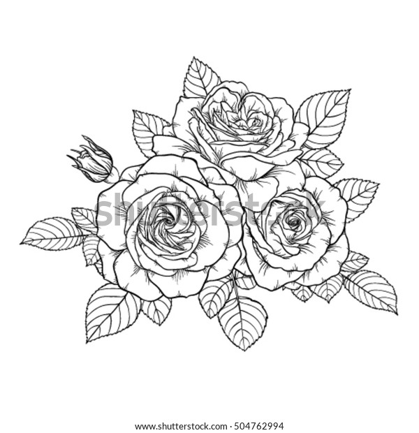 Beautiful Monochrome Black White Bouquet Rose Stock Vector (Royalty ...