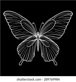 beautiful  monochrome black and white butterfly. Hand-drawn contour lines and strokes. for greeting card and invitations of wedding, birthday, Valentine's Day, mother's day and other seasonal holiday