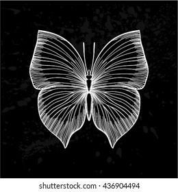 beautiful monochrome black and white butterfly. design for greeting card and invitation of the wedding, birthday, Valentine's Day, mother's day and other seasonal holidays