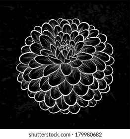 beautiful monochrome black and white dahlia flower  on a vintage background with spray and spots.