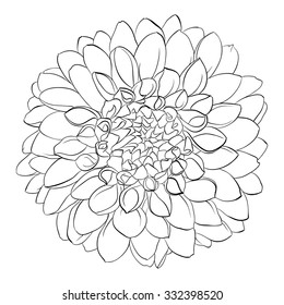 beautiful monochrome black and white dahlia flower isolated on background.  for greeting cards and invitations of the wedding, birthday, Valentine's Day, mother's day and other seasonal holiday