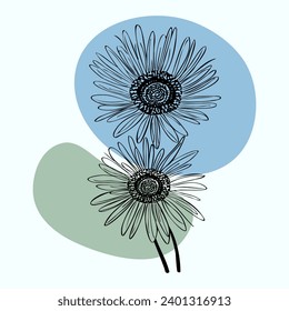 beautiful monochrome, black and white daisy flower isolated. for greeting card and invitations of the wedding, birthday