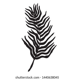 Beautiful monochrome black and white floral vector isolated on background. Hand-drawn flower. Design greeting card and invitation of holiday. Line art vector illustration.