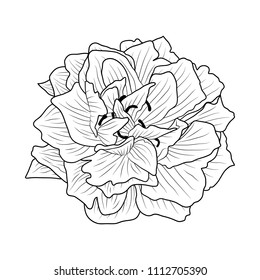 beautiful monochrome black and white flower, beautiful monochrome black and white dahlia flower isolated hand drawn contour lines and strokes, flower isolated on background for greeting cards, sketch