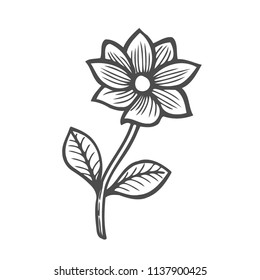 beautiful monochrome black and white flower isolated on white background. Hand-draw contour line and strokes. greeting card and invitation of wedding, birthday, mother's day and other seasonal holiday