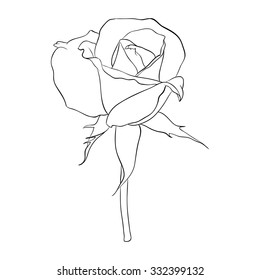 Beautiful monochrome black and white rose isolated on background. Hand-drawn line. for greeting cards and invitations of the wedding, birthday, Valentine's Day, mother's day and other seasonal holiday