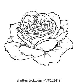 Beautiful monochrome black and white rose isolated on white background. Hand-drawn contour line. for greeting cards and invitations of wedding, birthday, mother's day and other seasonal holiday