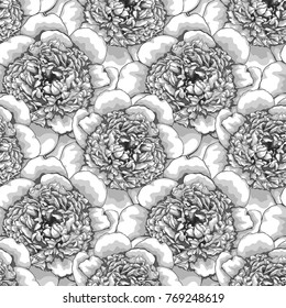 beautiful monochrome black and white seamless background peonies Hand-drawn. Design for greeting cards and invitations of wedding, birthday, Valentine s Day, mother s day and other seasonal holiday