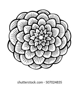 beautiful monochrome dahlia isolated on white background. for greeting cards and invitations of the wedding, birthday, Valentine's Day, mother's day and other seasonal holidays