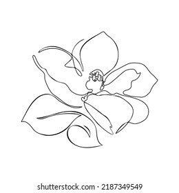 A beautiful monochrome flower isolated white background  Hand  draw contour line  Design for tattoo  prints  greeting card  invitations for weddings  birthday  mother's day 