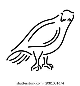 Hermosa ilustración monocromática lineal vectorial con pichón decorativo caricaturista sonriente aislado en el fondo blanco