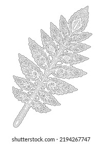 Hermosa ilustración monocromática lineal vectorial para la página de libros de coloración para adultos con hoja vintage decorativa aislada en el fondo blanco