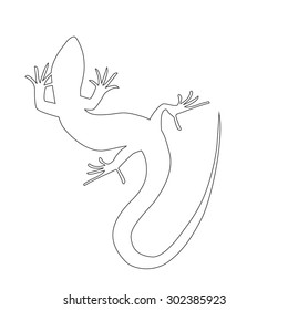 Beautiful  monochrome lizard, lizard silhouette. outline picture salamander. Vector illustration